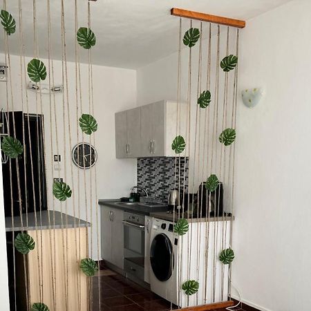 Garsoniera Saturn Apartment Mangalia Exterior photo